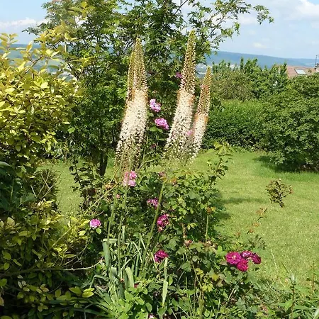 Genevieve Bed & Breakfast