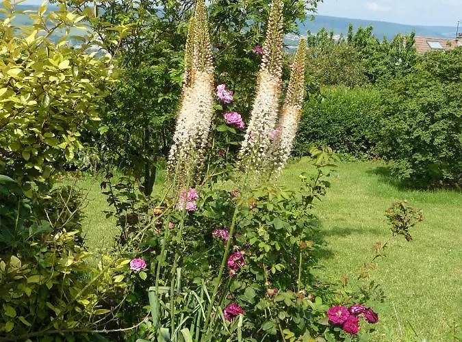 Genevieve Bed & Breakfast